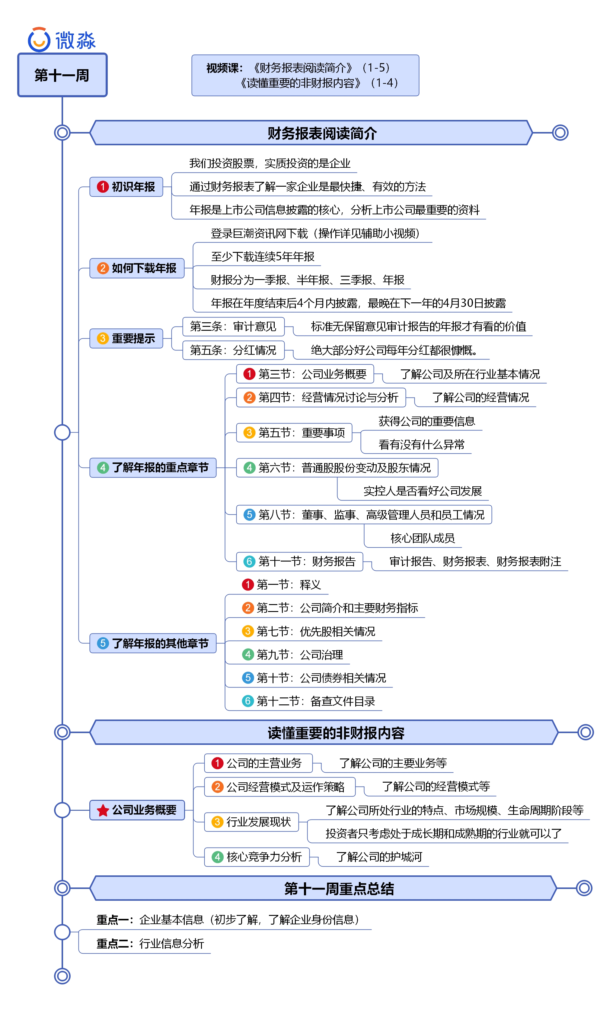 初识年报